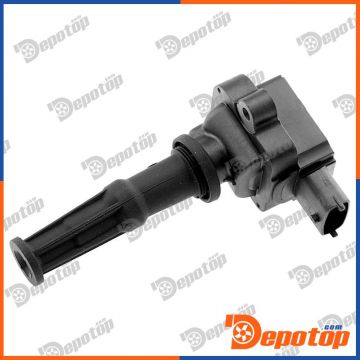 Bobine D'allumage pour FORD | 5DA749475431, 10507